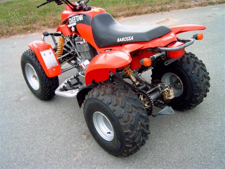 Barossa Cheetah billede 10