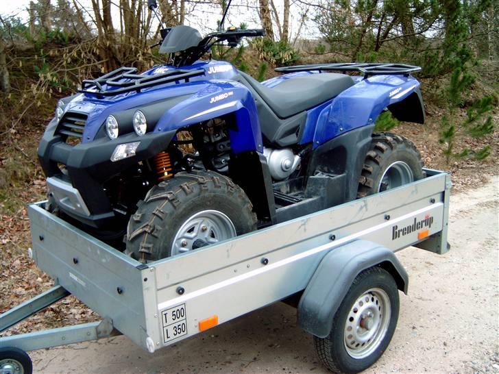 Barossa Jumbo 302 billede 1