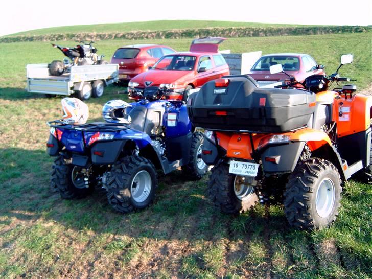 Barossa Jumbo 302 billede 6