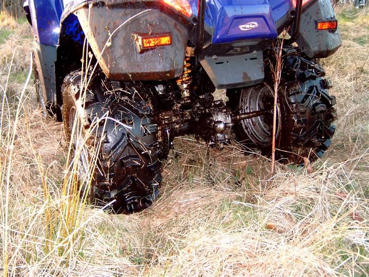 Barossa Jumbo 302 billede 9