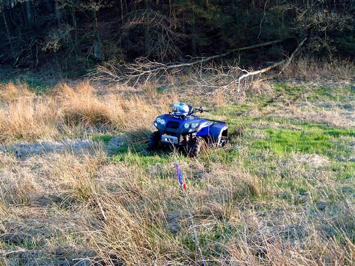 Barossa Jumbo 302 billede 11