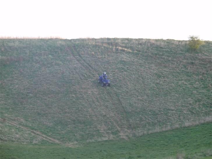 Barossa Jumbo 302 billede 12