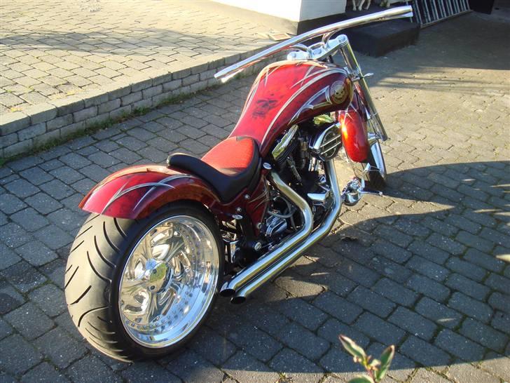 Harley Davidson Softtail Custom billede 1