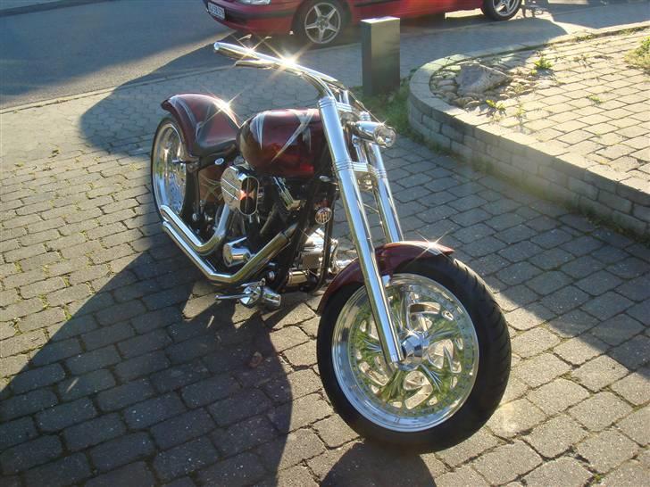 Harley Davidson Softtail Custom billede 3