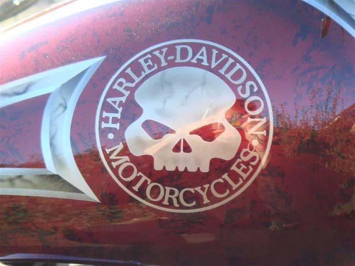 Harley Davidson Softtail Custom billede 5