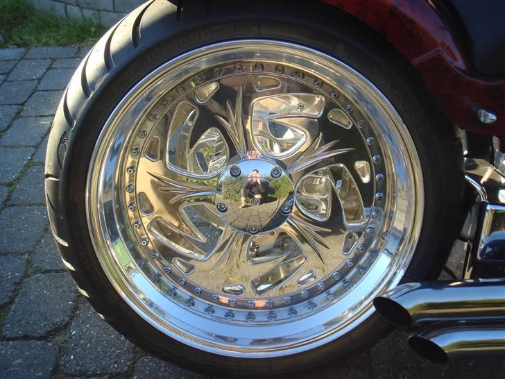 Harley Davidson Softtail Custom billede 8