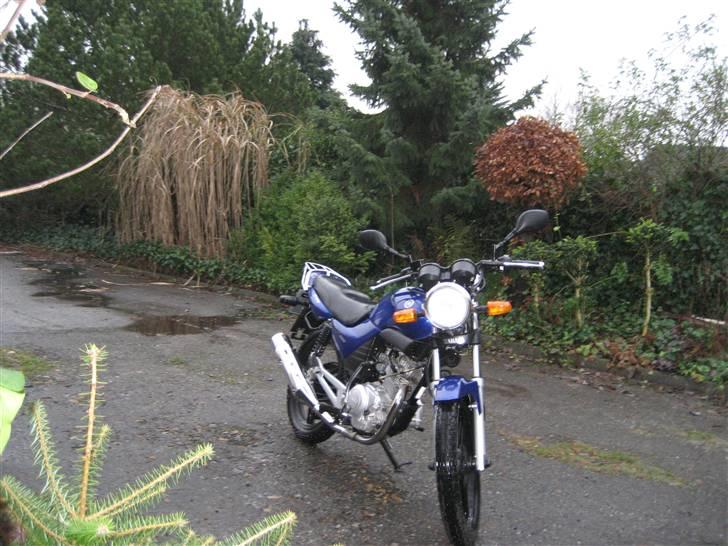 Yamaha YBR 125 - Fuck vinteren! 8-) billede 2