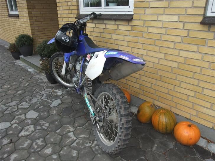 Yamaha Yz 450 f ´´Lille Else´´ billede 2
