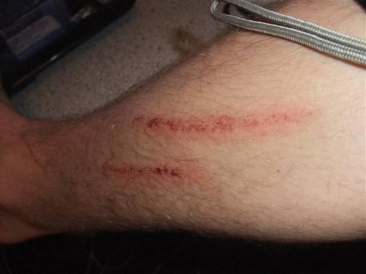 Yamaha Yz 450 f ´´Lille Else´´ - Kick starteren kan glide, der er smæk på*!! billede 4