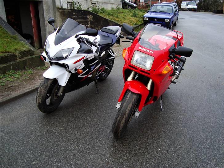 Honda cbr 600 f4 sport  billede 14