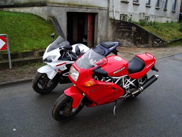 Honda cbr 600 f4 sport  billede 15