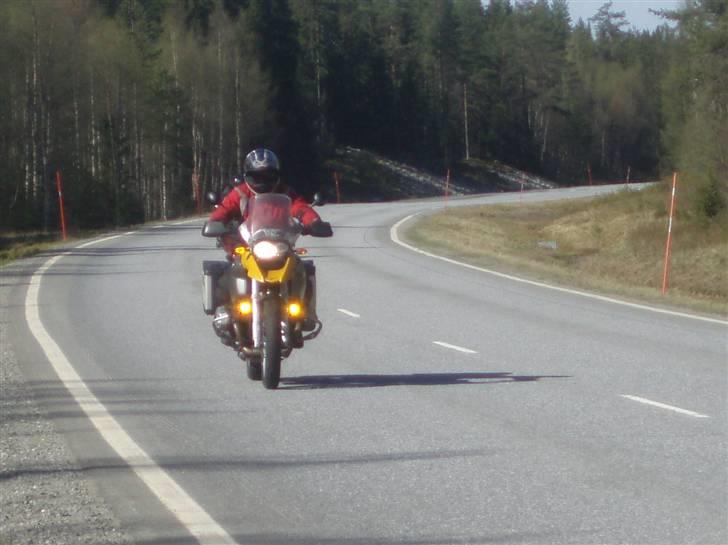 BMW R1200GS - Apropos snak om  "synlighed" . De gule kørelys gør det okay, syns jeg...... *s*  billede 17