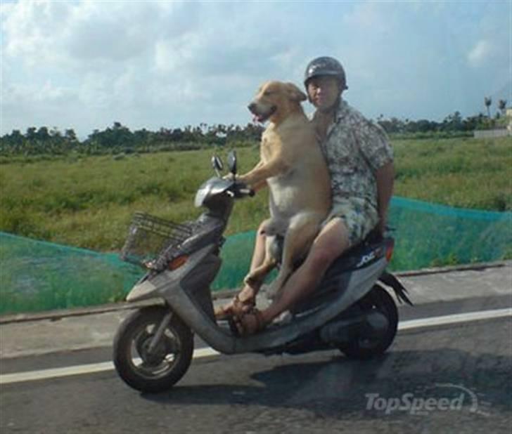 Yamaha YBR 125 - Fuck vinteren! 8-) billede 10