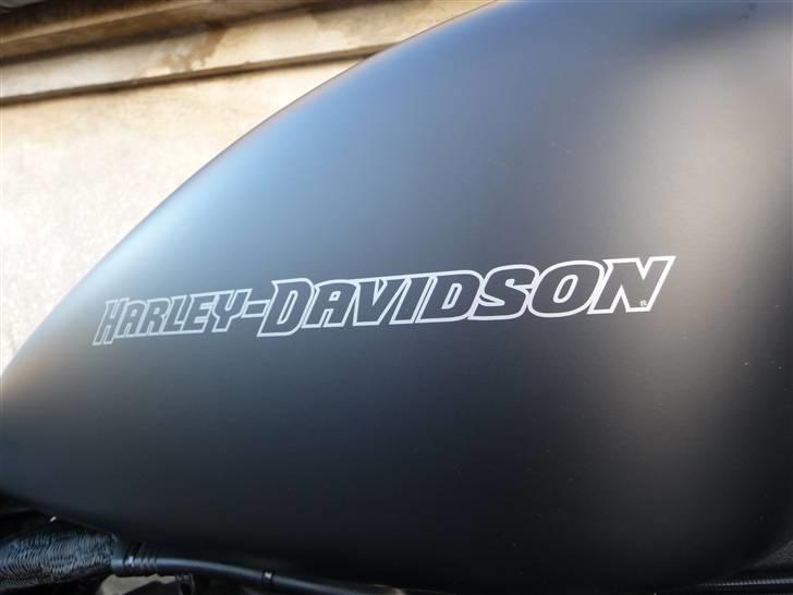 Harley Davidson 883 Iron - Smatsort billede 5