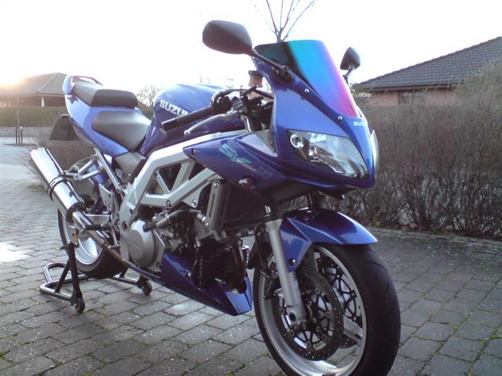 Suzuki Sv 1000s billede 15