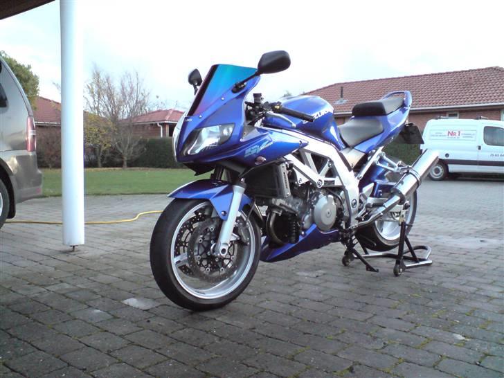 Suzuki Sv 1000s billede 16