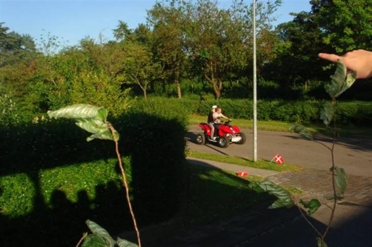 Hyosung Te 450 R billede 6