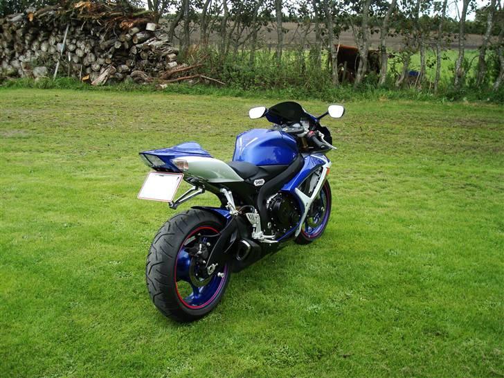 Suzuki GSX-R 600 billede 9