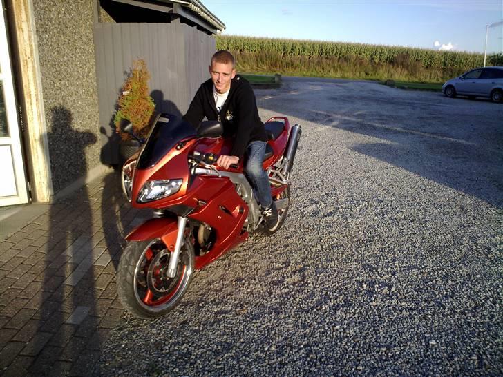 Suzuki sv 650 *solgt* billede 2