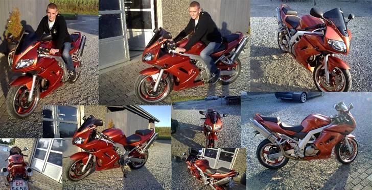 Suzuki sv 650 *solgt* billede 7