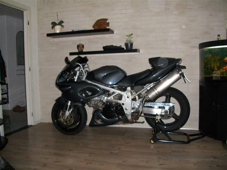 Suzuki tl 1000 - så blev det vinter billede 8