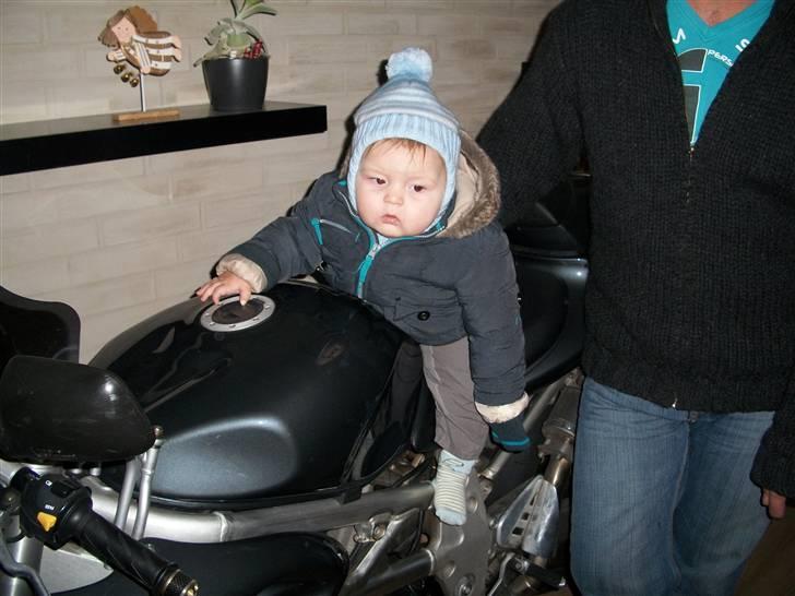 Suzuki tl 1000 - min lille nevø som lige skal om den nu er ok billede 9