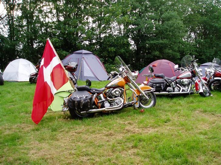 Harley Davidson Duo Glide - Super Rally 2007 i Busloo i Holland billede 5