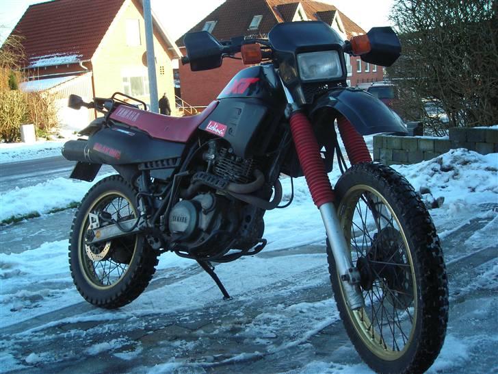 Yamaha XT600 skovged billede 1