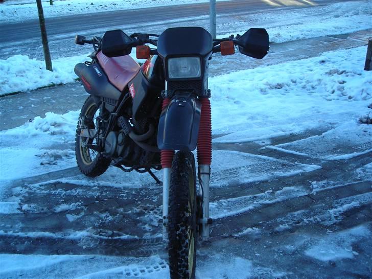 Yamaha XT600 skovged billede 9