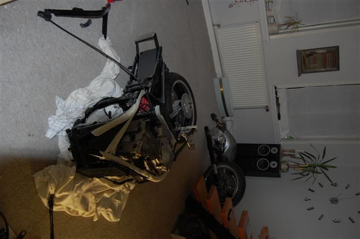 Suzuki GSF 600 Bandit (projekt) billede 16