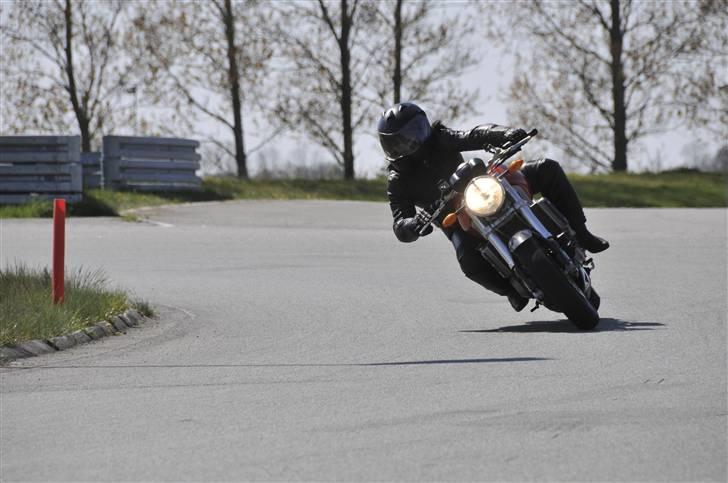 Ducati Monster S4R billede 6