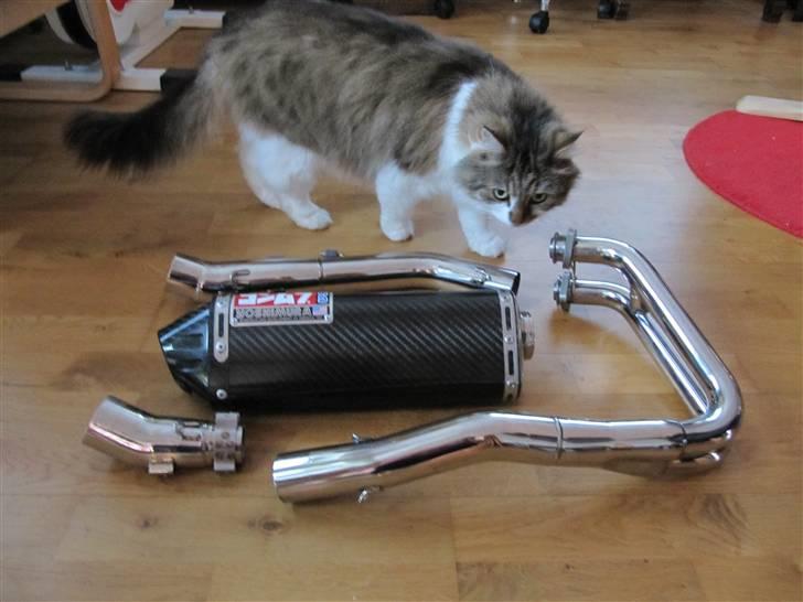 Kawasaki Ninja 250R billede 16