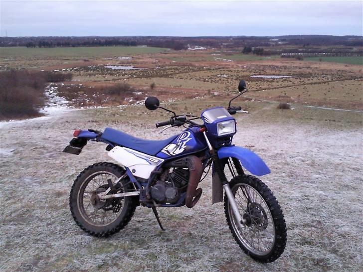Yamaha DT 175 - Den store kælkebakke i Sædding. Tog den hele vejen op i 2. gear, uden at jeg overhovedet var hård ved den og selvom bakken var isglat.  billede 8
