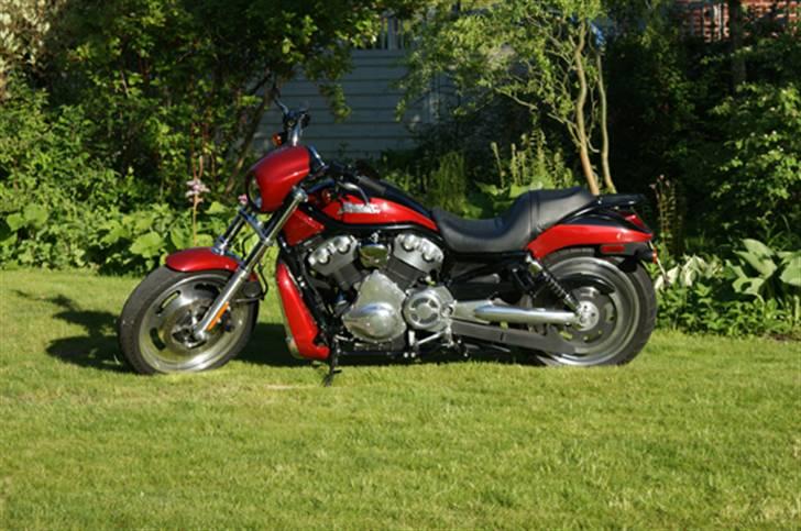 Harley Davidson VRSCD Night Rod billede 1