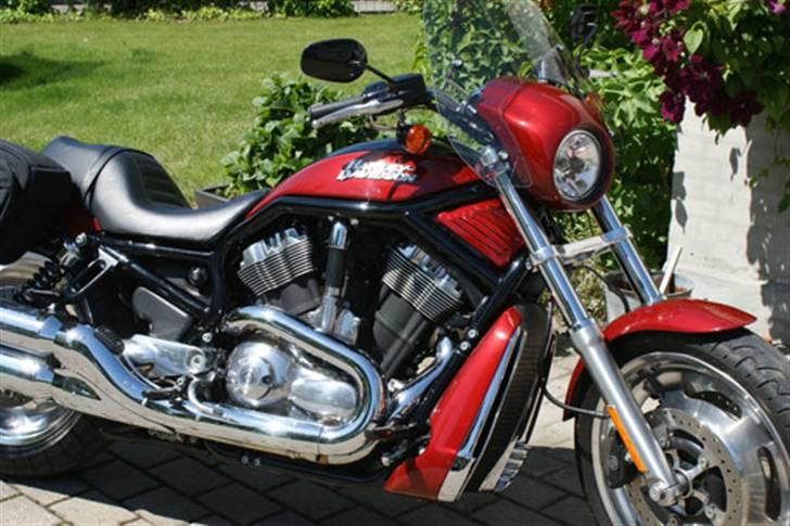 Harley Davidson VRSCD Night Rod billede 2