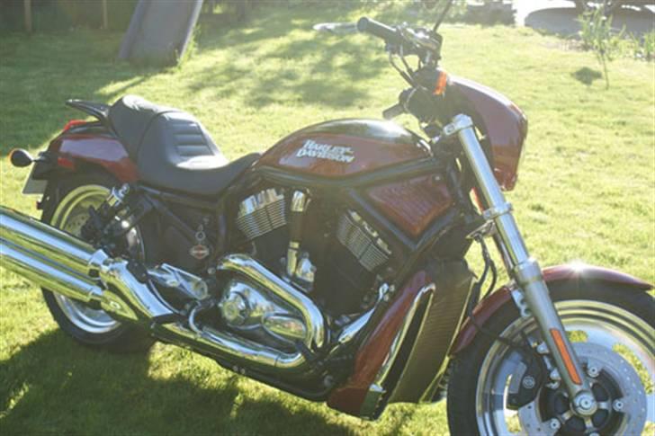 Harley Davidson VRSCD Night Rod billede 3