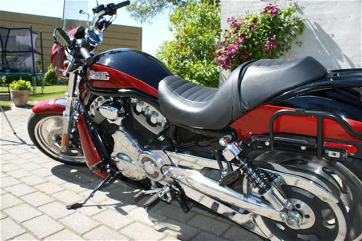 Harley Davidson VRSCD Night Rod billede 4