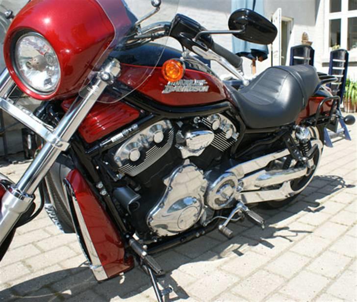 Harley Davidson VRSCD Night Rod billede 5