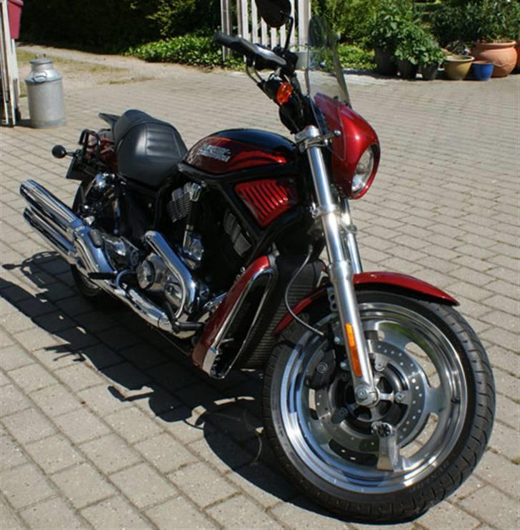 Harley Davidson VRSCD Night Rod billede 6