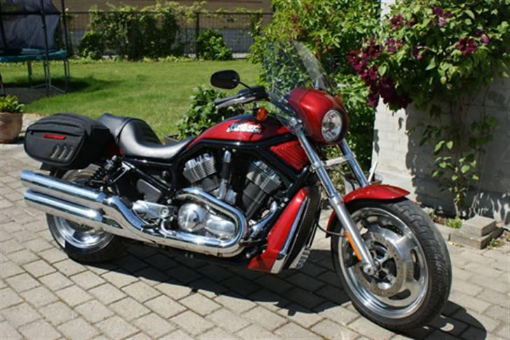 Harley Davidson VRSCD Night Rod billede 8
