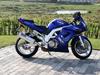 Suzuki SV1000S