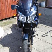 Suzuki DL 1000 V-Strom Langeland