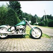Harley Davidson Troublehead