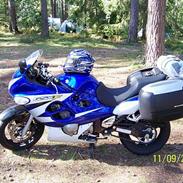 Suzuki gsx 600 f