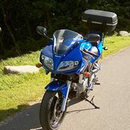 Suzuki SV 650 S (solgt)