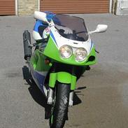 Kawasaki ZXR 750 L1 R:I:P