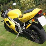 Triumph Daytona 955I