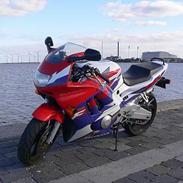 Honda CBR 600 (SOLGT)