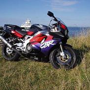 Honda CBR 900 RR Fireblade *død*