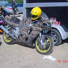 Suzuki GSX-R 750 aka Tigerdyret